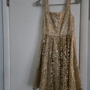 Fifteen Roses Gold Sequin Dress